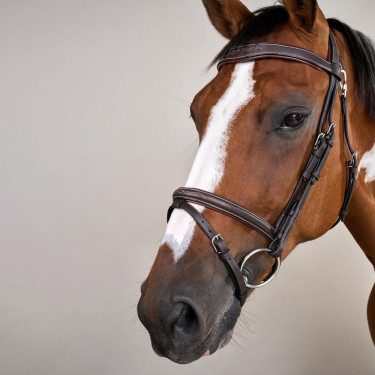 Briglia con Museruola Combinata con Moschettone Dy'on Working Marrone Briglia con Museruola Combinata con Moschettone Dy'on Working Marrone