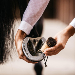 Piccolo nettapiedi Kentucky Marrone