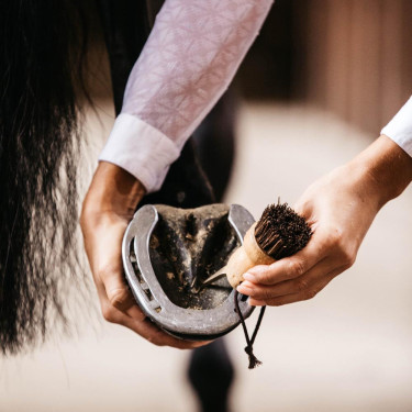 Piccolo nettapiedi Kentucky Marrone