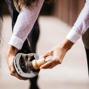 Piccolo nettapiedi Kentucky Marrone