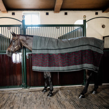 Coperta Asciugante Quadrata Heavy Fishbone Kentucky Bordeaux