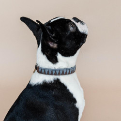 Collare per cane Triangle Kentucky Marrone