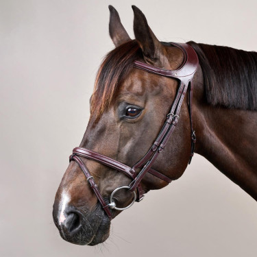 Briglia Différence New English Collection by Dy'on Marrone Briglia Différence New English Collection by Dy'on Marrone