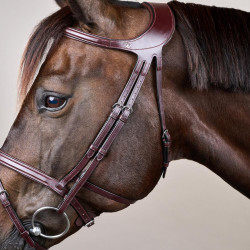 Briglia Différence New English Collection by Dy'on Marrone Briglia Différence New English Collection by Dy'on Marrone