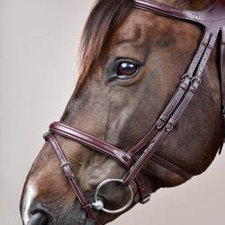 Briglia Différence New English Collection by Dy'on Marrone Briglia Différence New English Collection by Dy'on Marrone