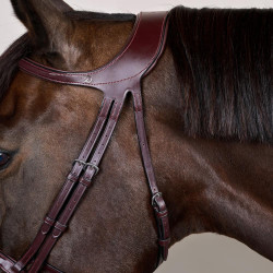 Briglia Différence New English Collection by Dy'on Marrone Briglia Différence New English Collection by Dy'on Marrone