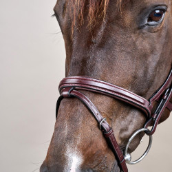 Briglia Différence New English Collection by Dy'on Marrone Briglia Différence New English Collection by Dy'on Marrone