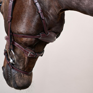 Briglia Différence New English Collection by Dy'on Marrone Briglia Différence New English Collection by Dy'on Marrone