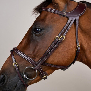 Briglia Différence D Collection by Dy'on Marrone