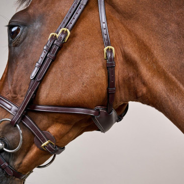 Briglia Différence D Collection by Dy'on Marrone