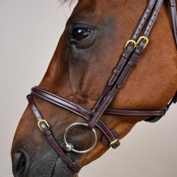 Briglia Différence D Collection by Dy'on Marrone