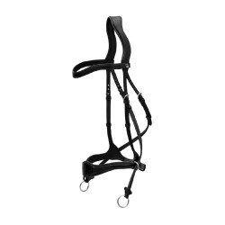 Briglia D Motion New English Collection by Dy'on Nero Briglia D Motion New English Collection by Dy'on Nero