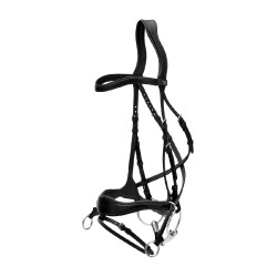 Briglia D Motion New English Collection by Dy'on Nero Briglia D Motion New English Collection by Dy'on Nero