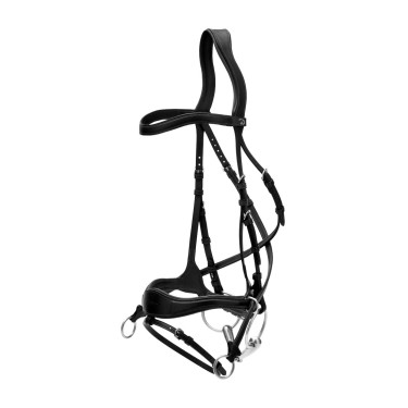 Briglia D Motion New English Collection by Dy'on Nero Briglia D Motion New English Collection by Dy'on Nero