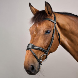 Briglia D Motion New English Collection by Dy'on Nero Briglia D Motion New English Collection by Dy'on Nero