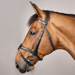 Briglia D Motion New English Collection by Dy'on Nero Briglia D Motion New English Collection by Dy'on Nero