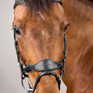 Briglia D Motion New English Collection by Dy'on Nero Briglia D Motion New English Collection by Dy'on Nero