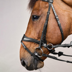 Briglia D Motion New English Collection by Dy'on Nero Briglia D Motion New English Collection by Dy'on Nero