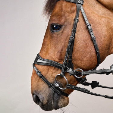 Briglia D Motion New English Collection by Dy'on Nero Briglia D Motion New English Collection by Dy'on Nero