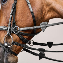 Briglia D Motion New English Collection by Dy'on Nero Briglia D Motion New English Collection by Dy'on Nero