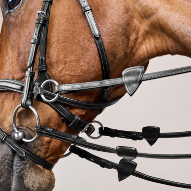 Briglia D Motion New English Collection by Dy'on Nero Briglia D Motion New English Collection by Dy'on Nero