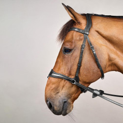 Briglia D Motion New English Collection by Dy'on Nero Briglia D Motion New English Collection by Dy'on Nero