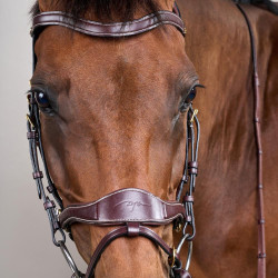 Briglia D Motion D Collection by Dy'on Marrone