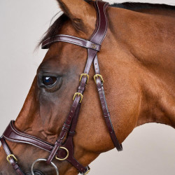 Briglia D Motion D Collection by Dy'on Marrone