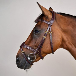 Briglia D Motion D Collection by Dy'on Marrone