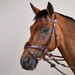 Briglia D Motion D Collection by Dy'on Marrone