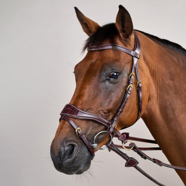 Briglia D Motion D Collection by Dy'on Marrone