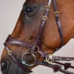 Briglia D Motion D Collection by Dy'on Marrone