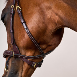 Briglia D Motion D Collection by Dy'on Marrone