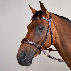 Briglia D Motion D Collection by Dy'on Marrone