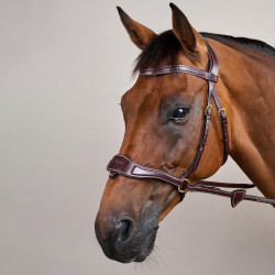 Briglia D Motion D Collection by Dy'on Marrone