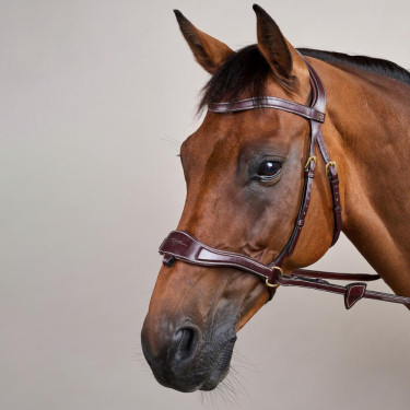 Briglia D Motion D Collection by Dy'on Marrone