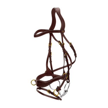 Briglia D Motion D Collection by Dy'on Marrone