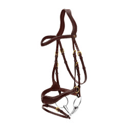 Briglia D Motion D Collection by Dy'on Marrone