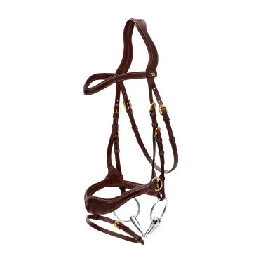 Briglia D Motion D Collection by Dy'on Marrone