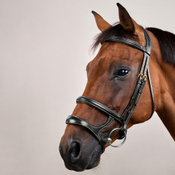 Briglia Doppia Capezzina D Collection by Dy'on Nero