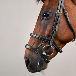 Briglia Doppia Capezzina D Collection by Dy'on Nero