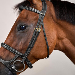 Briglia Doppia Capezzina D Collection by Dy'on Nero