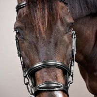 Briglia Doppio Capezzina New English Collection by Dy'on Nero