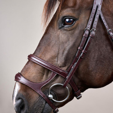 Briglia Doppio Capezzina New English Collection by Dy'on Marrone Briglia Doppio Capezzina New English Collection by Dy'on Marrone