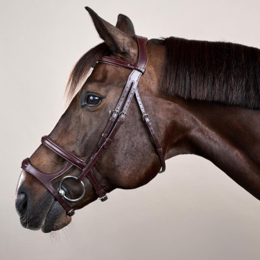 Briglia Doppio Capezzina New English Collection by Dy'on Marrone Briglia Doppio Capezzina New English Collection by Dy'on Marrone