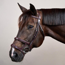 Briglia Doppio Capezzina New English Collection by Dy'on Marrone Briglia Doppio Capezzina New English Collection by Dy'on Marrone