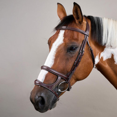 Briglia Doppio Capezzino Collezione US by Dy'on Marrone Briglia Doppio Capezzino Collezione US by Dy'on Marrone