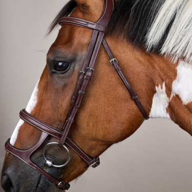 Briglia Doppio Capezzino Collezione US by Dy'on Marrone Briglia Doppio Capezzino Collezione US by Dy'on Marrone