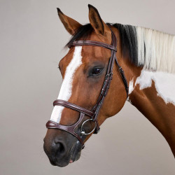 Briglia Doppio Capezzino Collezione US by Dy'on Marrone Briglia Doppio Capezzino Collezione US by Dy'on Marrone