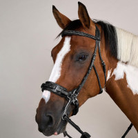 Hackamore US Collection by Dy'on Marrone Hackamore US Collection by Dy'on Marrone